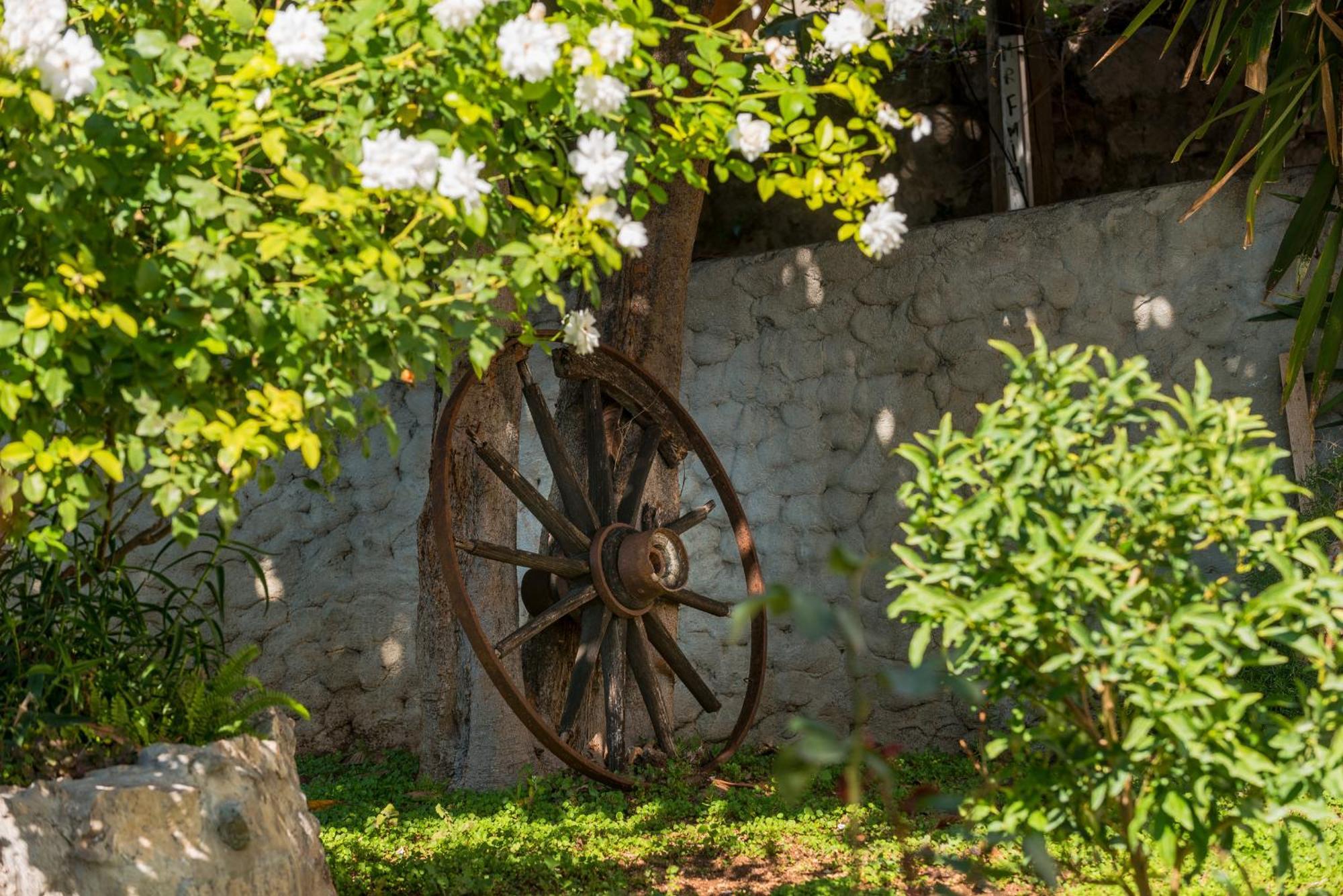 Miljas Dubrovnik